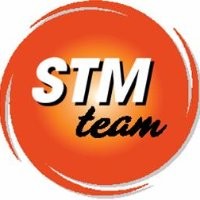 STM Power Transmission Ltd Email