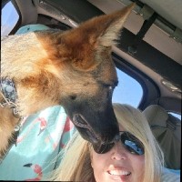 Independent IT Consulting Employee Cynthia Welch's profile photo