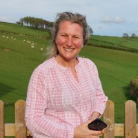 Sheila Wilcox Email & Phone Number