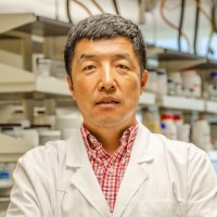 WVU Benjamin M. Statler College of Engineering and Mineral Resources Employee Xingbo Liu's profile photo