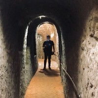 Colypro Employee Esteban Alfaro Quesada's profile photo