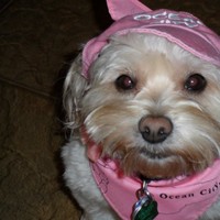 Quincy Employee Brenda Jackson's profile photo