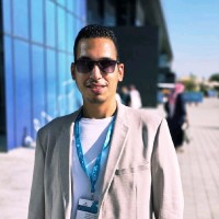 High Seas Marine & Industrial Services Co Ltd Employee Hussein Elhadary's profile photo