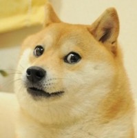 Akliz Employee Doge Inu's profile photo