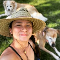 Wildlife Conservation Network Employee Shuya Lou's profile photo