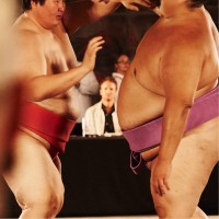 Cuttable Employee Ant White's profile photo