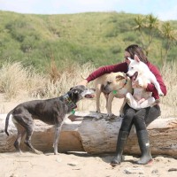 The National Kiwi Hatchery Employee Jessica Flamy's profile photo