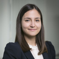 Mariagiovanna Miccolis Email