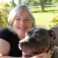 Animal Rescue League of Berks County Employee Penny Hummel's profile photo