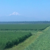 Anderson Hay & Grain Co., Inc. Employee Larry Root's profile photo