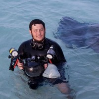 DivePhotoGuide Employee Joseph Tepper's profile photo