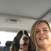 Karin Sullivan Email & Phone Number