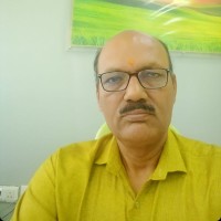 TOWELL ENGINEERING GROUP Employee Waman Shete's profile photo