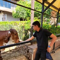 Rising Venture Services Employee Manthan Vashistha's profile photo