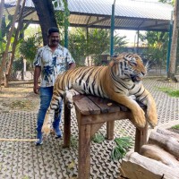 Jai Kumar Email