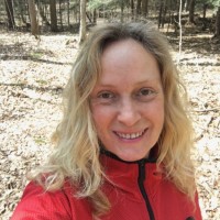 ivy Group Inc Employee Silke Henke's profile photo