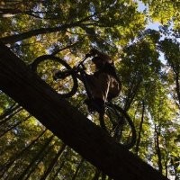 Gripped Publishing Employee Colin Field's profile photo
