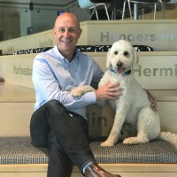 MJ Consulting Employee Mark Johnson's profile photo