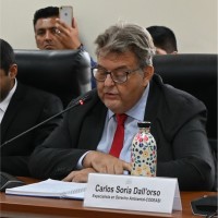 CLACSO Employee Carlos Dall'Orso's profile photo