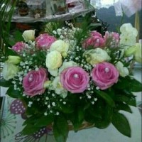 Flower Explosion Employee Jelena Savic's profile photo