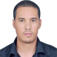 VAOS Limited (Value Added Oilfield Services) Employee Zied Ali's profile photo