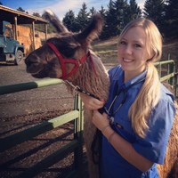 Southern Arizona Veterinary Specialty & Emergency Center Employee Leah Dawson's profile photo
