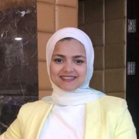 Salma Amr Email