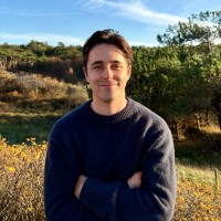 Hedgehog Applications Employee Tijn Schutte's profile photo