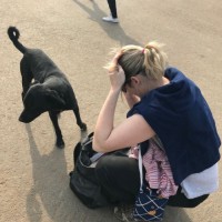 TradeWheel.com Employee 安娜's profile photo