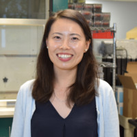 Ling Lin Email & Phone Number