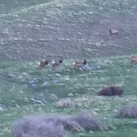 The Shockey Precast Group Employee Derrick Compton's profile photo