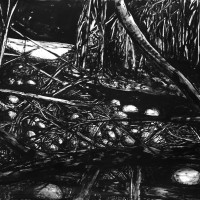 John Loggia