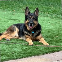 UPS Employee Rusty Richardson's profile photo