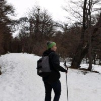 Chipax Employee Giuliano Tritto's profile photo
