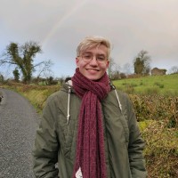 Google Employee David Michaelson's profile photo