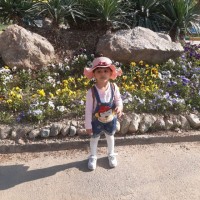 Samin Employee Leila Mostafaee's profile photo