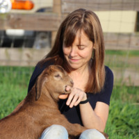 Amgen Employee Amy Compton's profile photo
