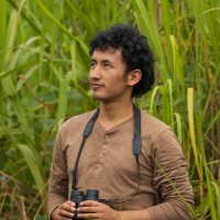 Crees Employee Luis Antonio Echevarria MacAssi's profile photo