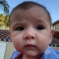 Matthew Nguyen Email & Phone Number