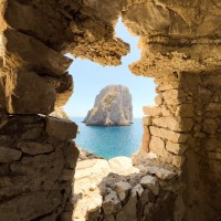 Cindy Weaselbear Email