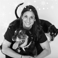 Central Hospital for Veterinary Medicine Employee Jill Malino's profile photo