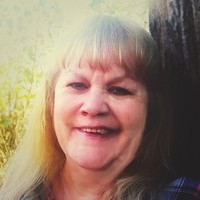 INTERO Showcase Employee Diane Campion's profile photo