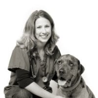 Vicki Pollard Email & Phone Number