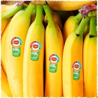 Fresh Del Monte Employee Austin Baird's profile photo