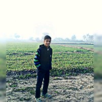 Dropdash Employee Mayank Nerurkar's profile photo