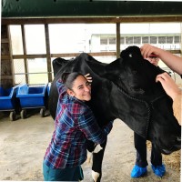 Jocelyn Vannostrand Email & Phone Number