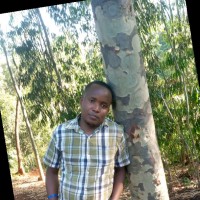 Golden Africa Kenya Employee Boniface Mbingi's profile photo