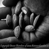 Devon Chambers Email