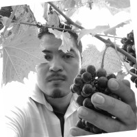 Running Hare Vineyard Employee Jerson Garica's profile photo