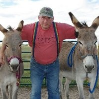 Boeing Employee Mark McCabe's profile photo